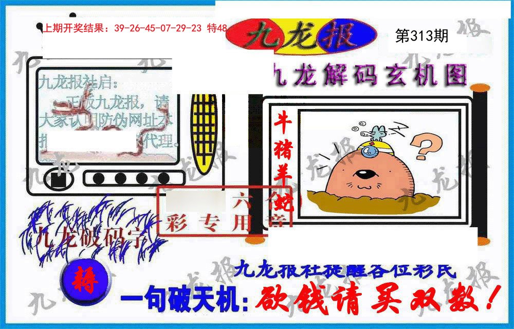 2024313期九龙报(信封)