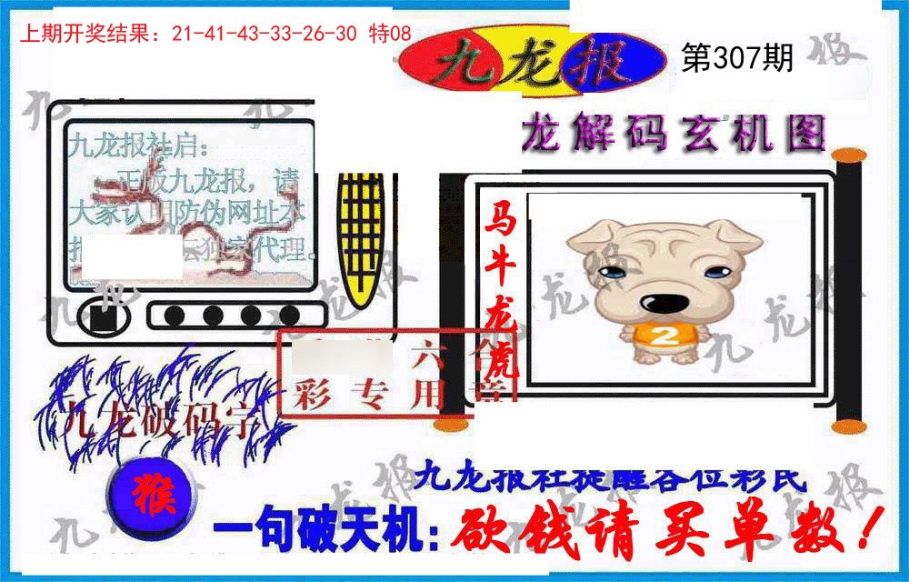 2024307期九龙报(信封)