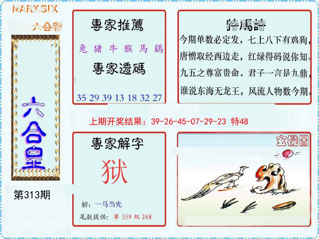 2024313期六合皇