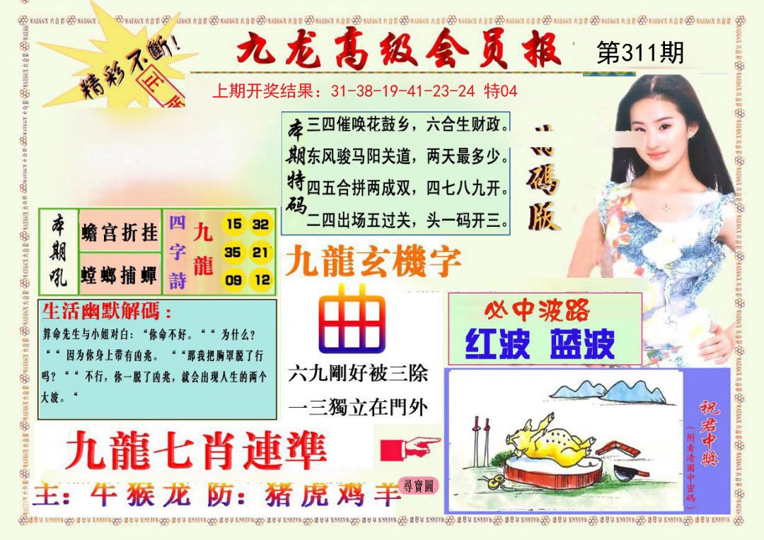 2024311期九龙高级会员报