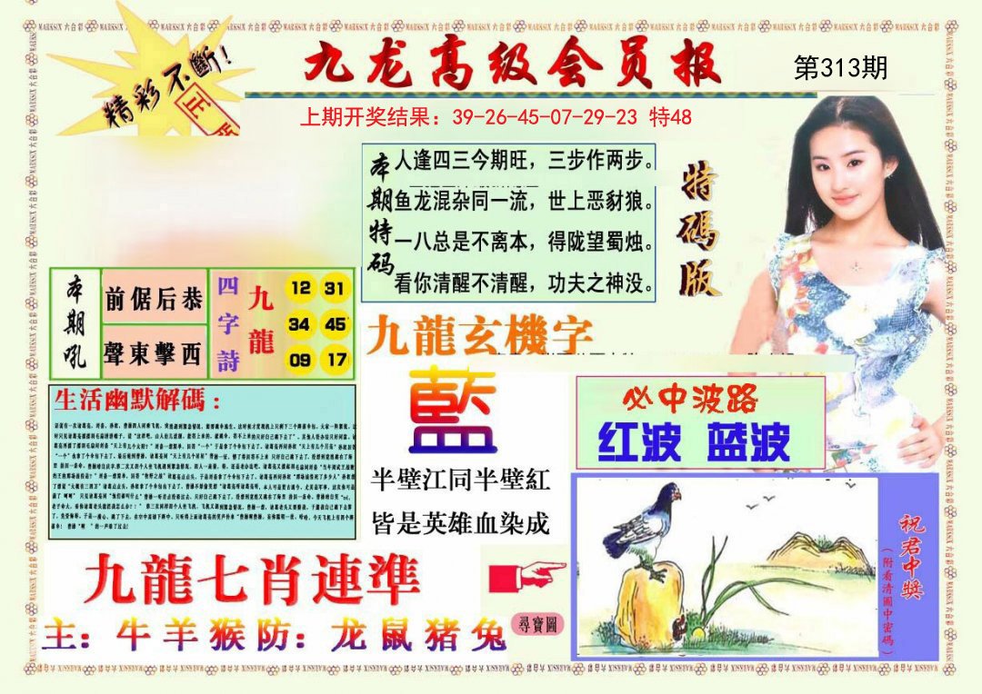 2024313期九龙高级会员报