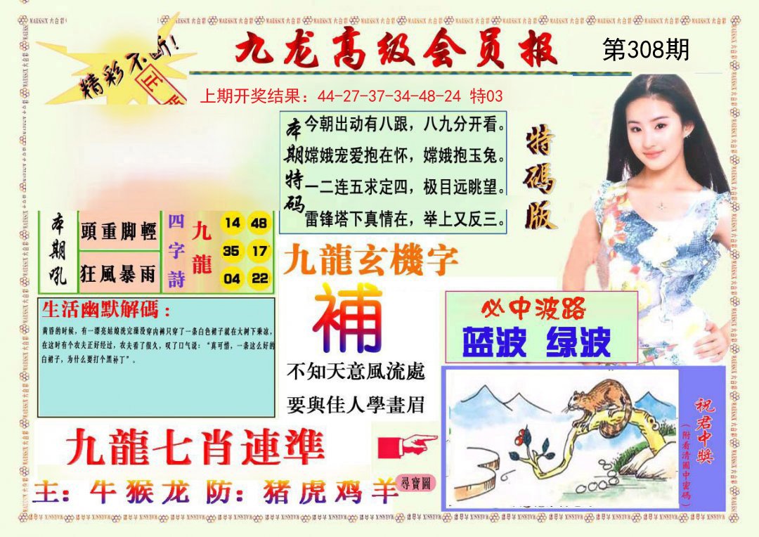 2024308期九龙高级会员报