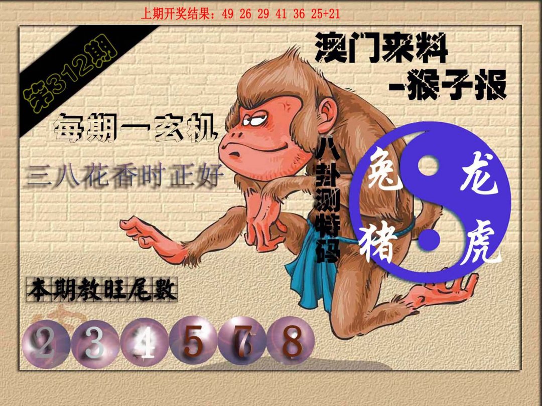 2024312期(来料)猴报
