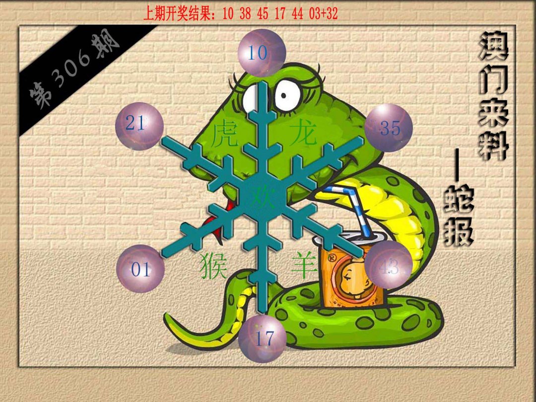 2024306期(来料)蛇报
