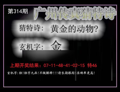 2024314期广州传真猜特诗