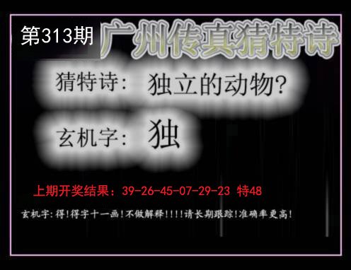 2024313期广州传真猜特诗