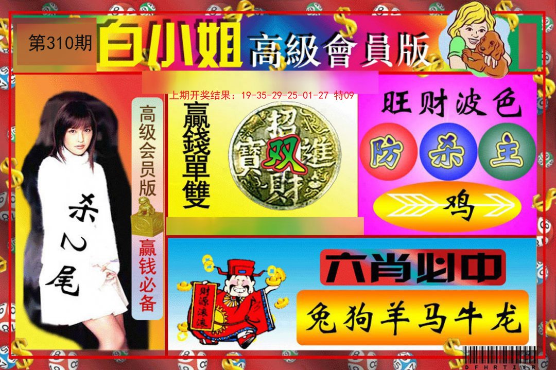 2024310期白小姐高级会员版