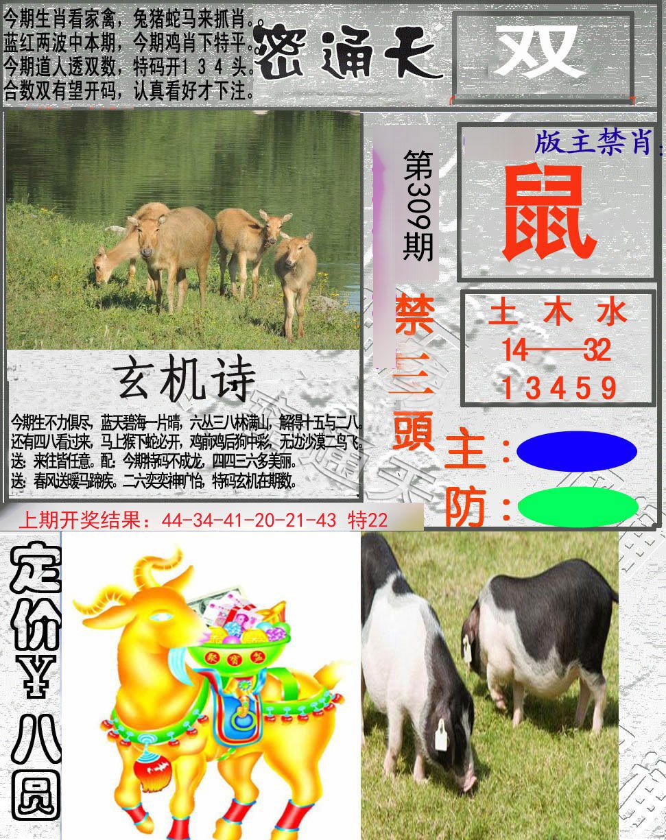 2024309期密通天
