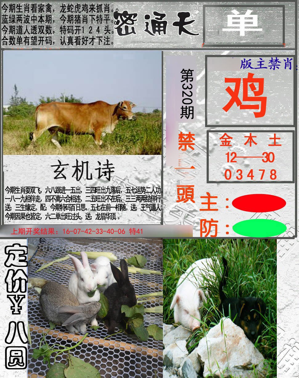2024320期密通天