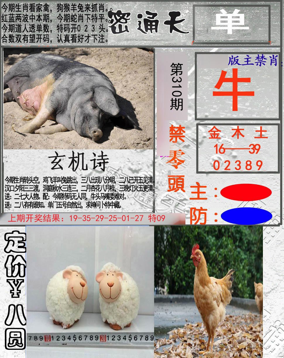 2024310期密通天