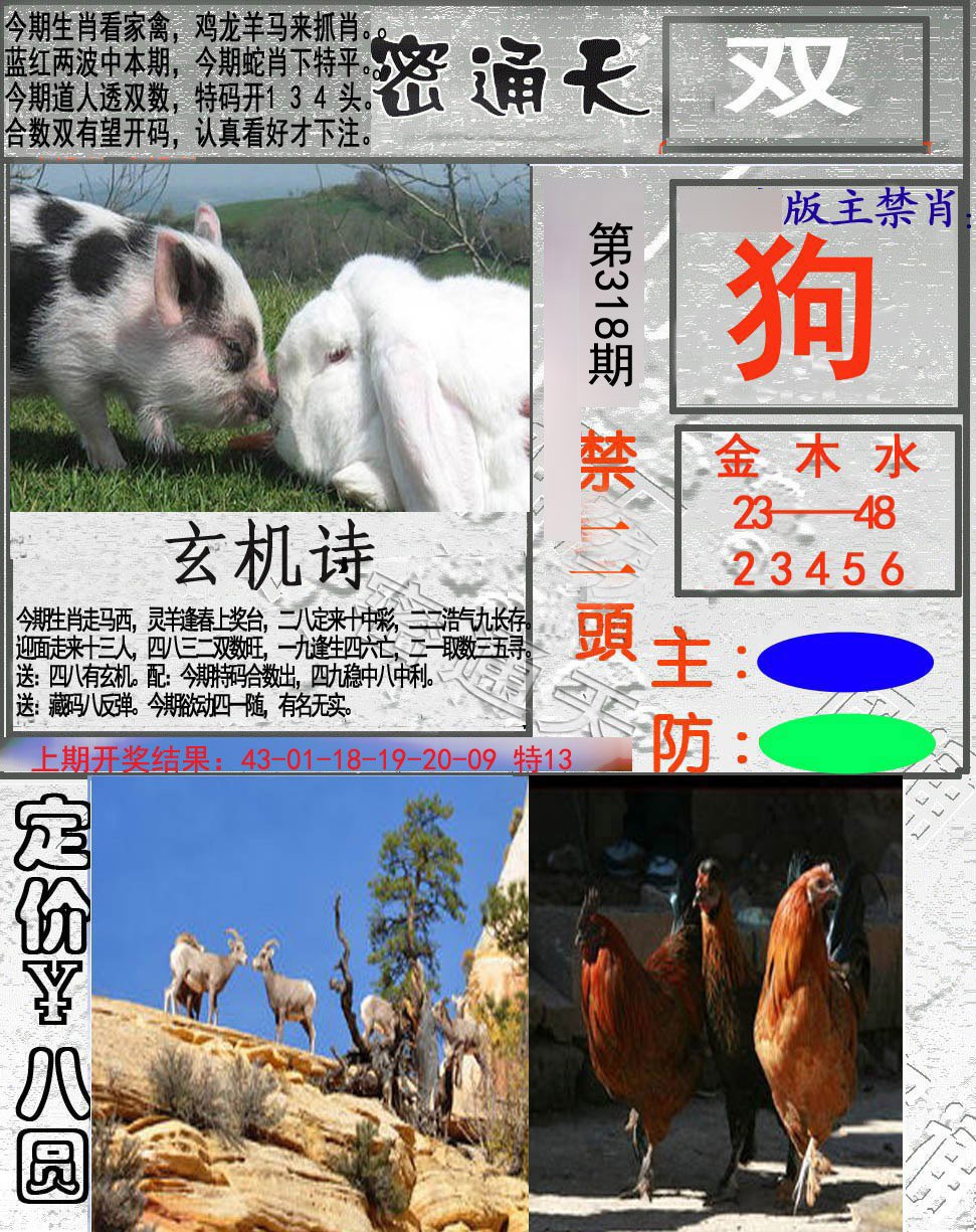 2024318期密通天