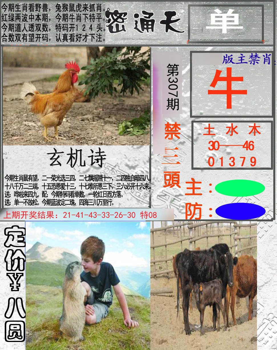 2024307期密通天