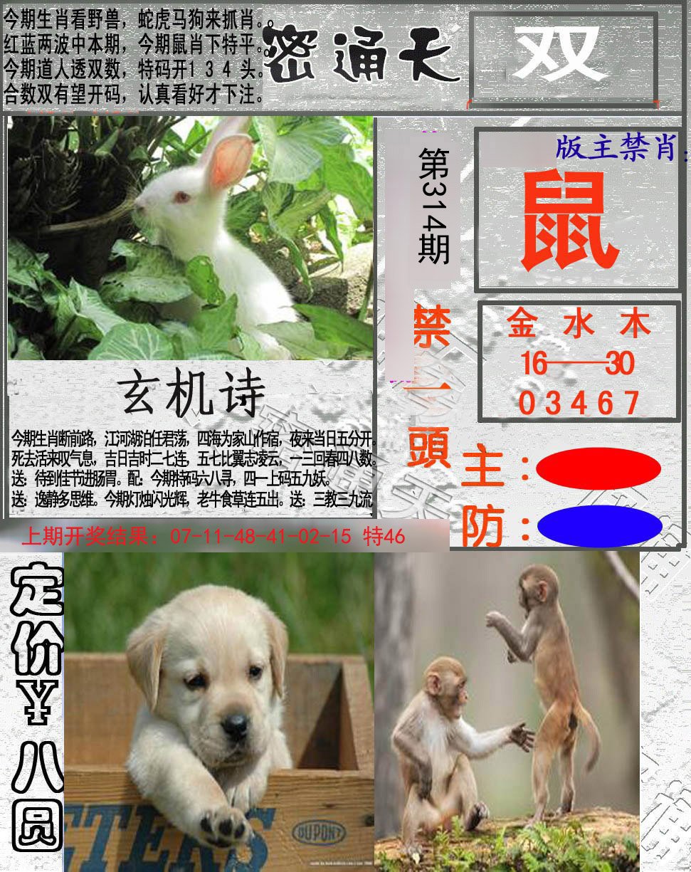 2024314期密通天