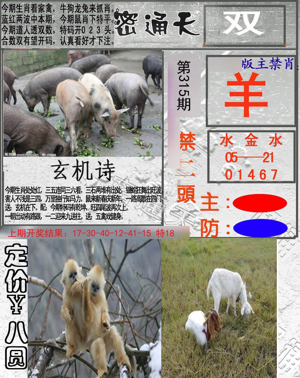 2024315期密通天