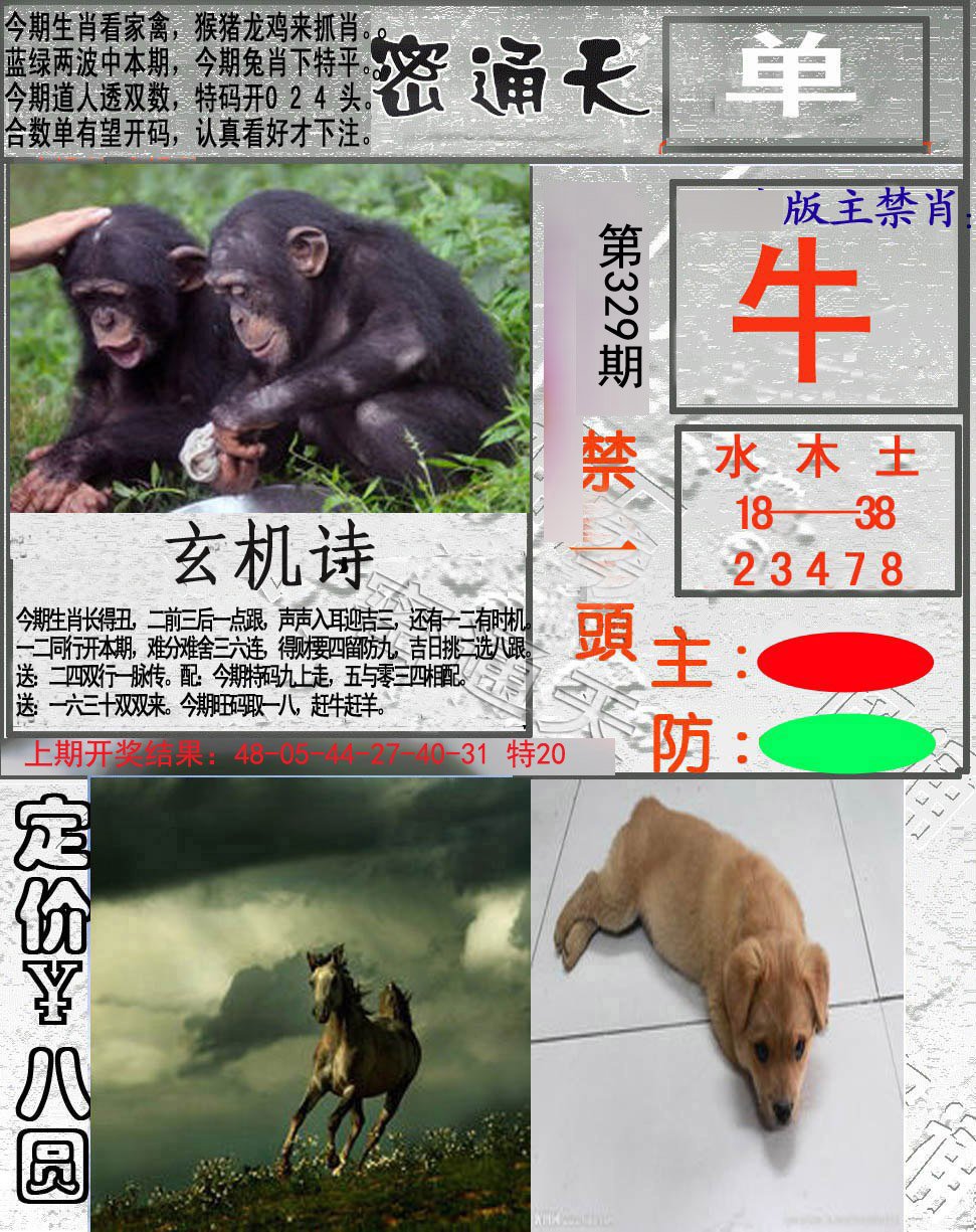2024329期密通天