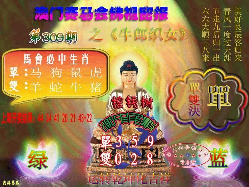 2024309期佛主密报-莲花双宝