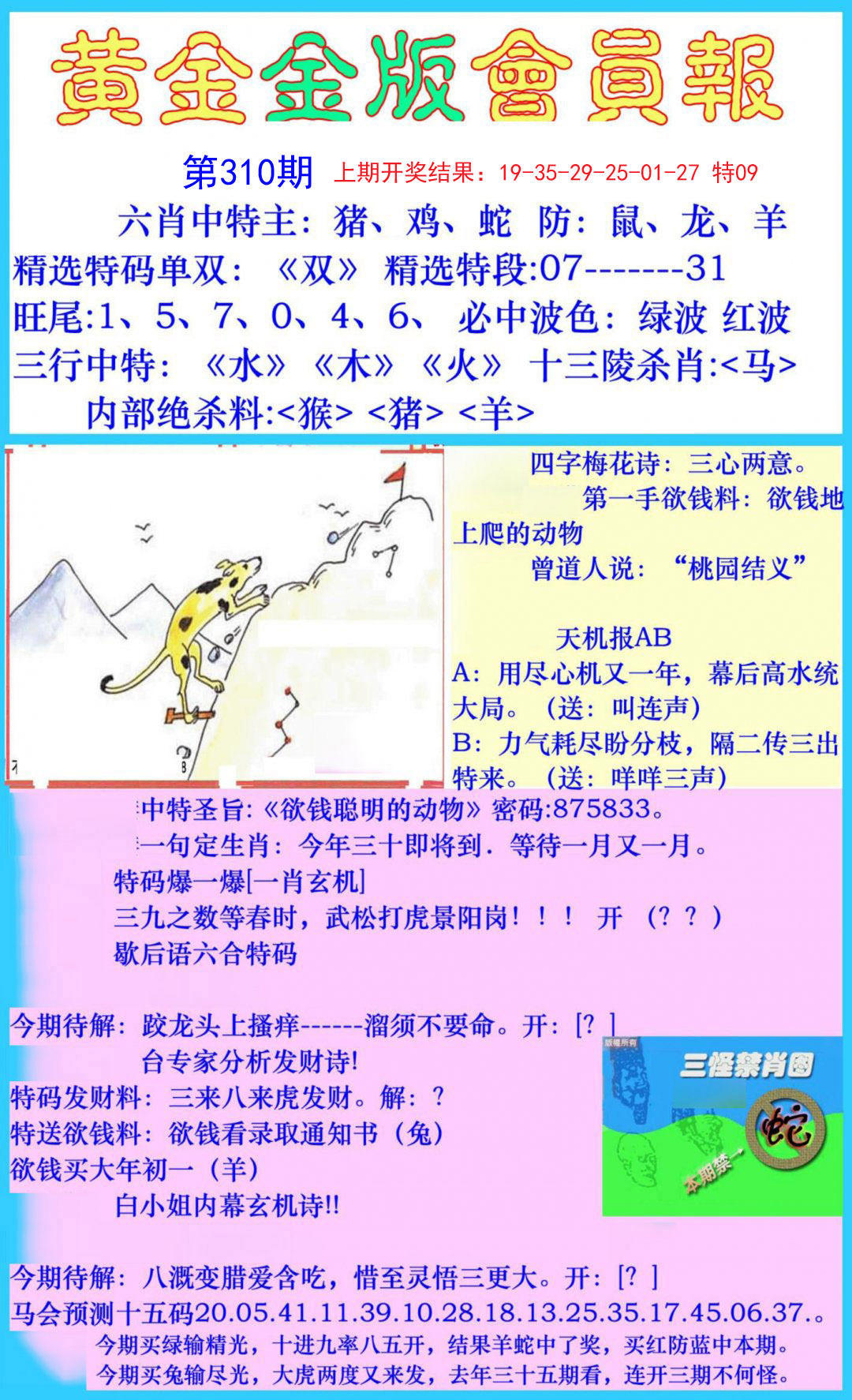 2024310期黄金金版会员报