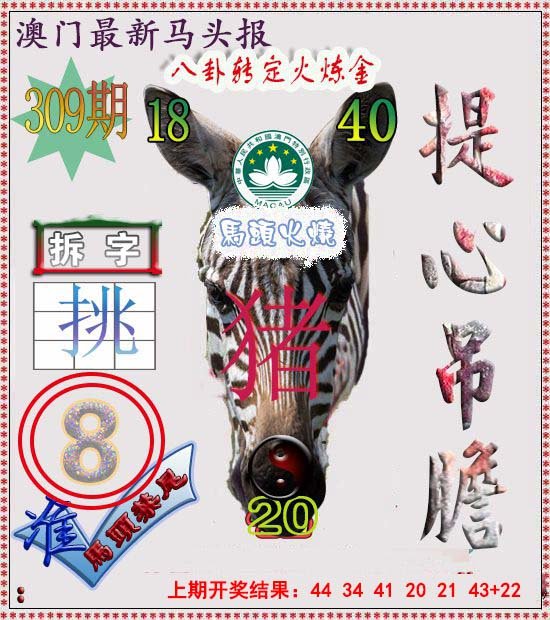 2024309期马头报