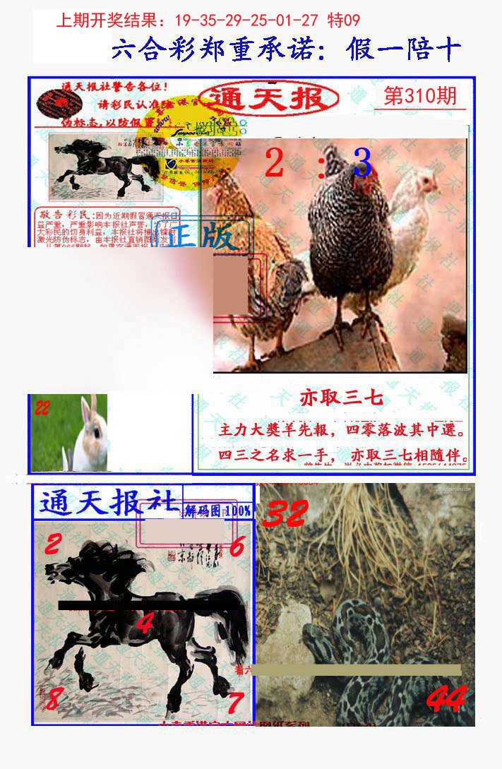 2024310期假一陪十通天报