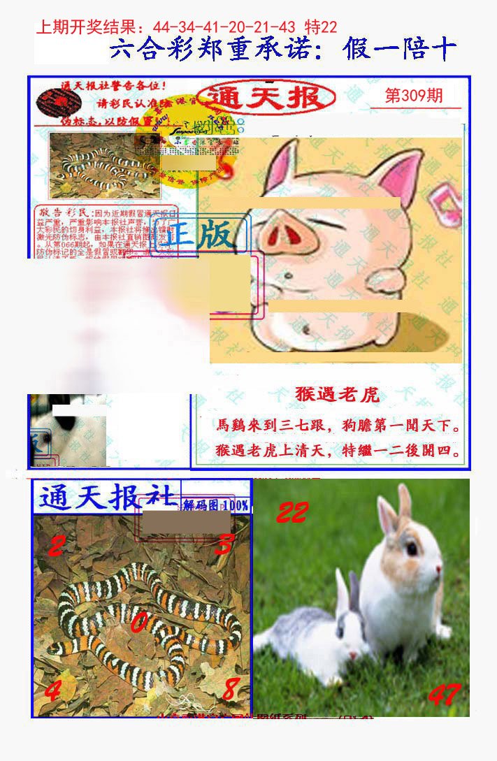 2024309期假一陪十通天报