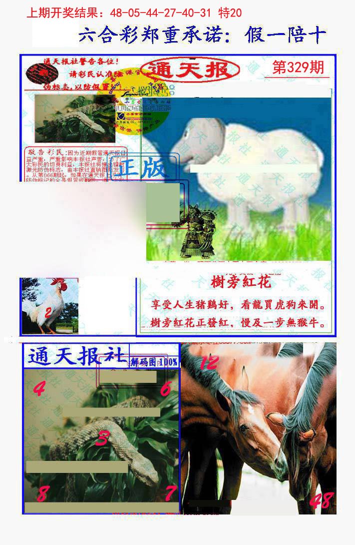 2024329期假一陪十通天报