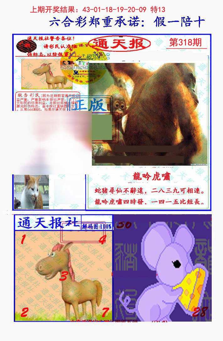 2024318期假一陪十通天报