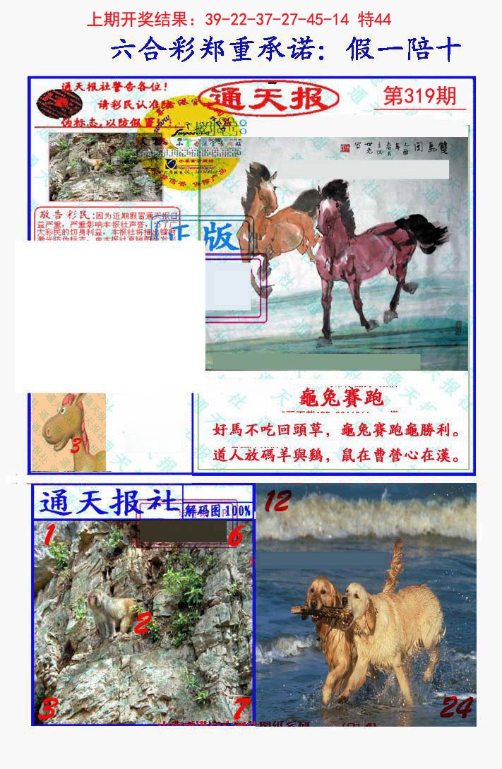 2024319期假一陪十通天报