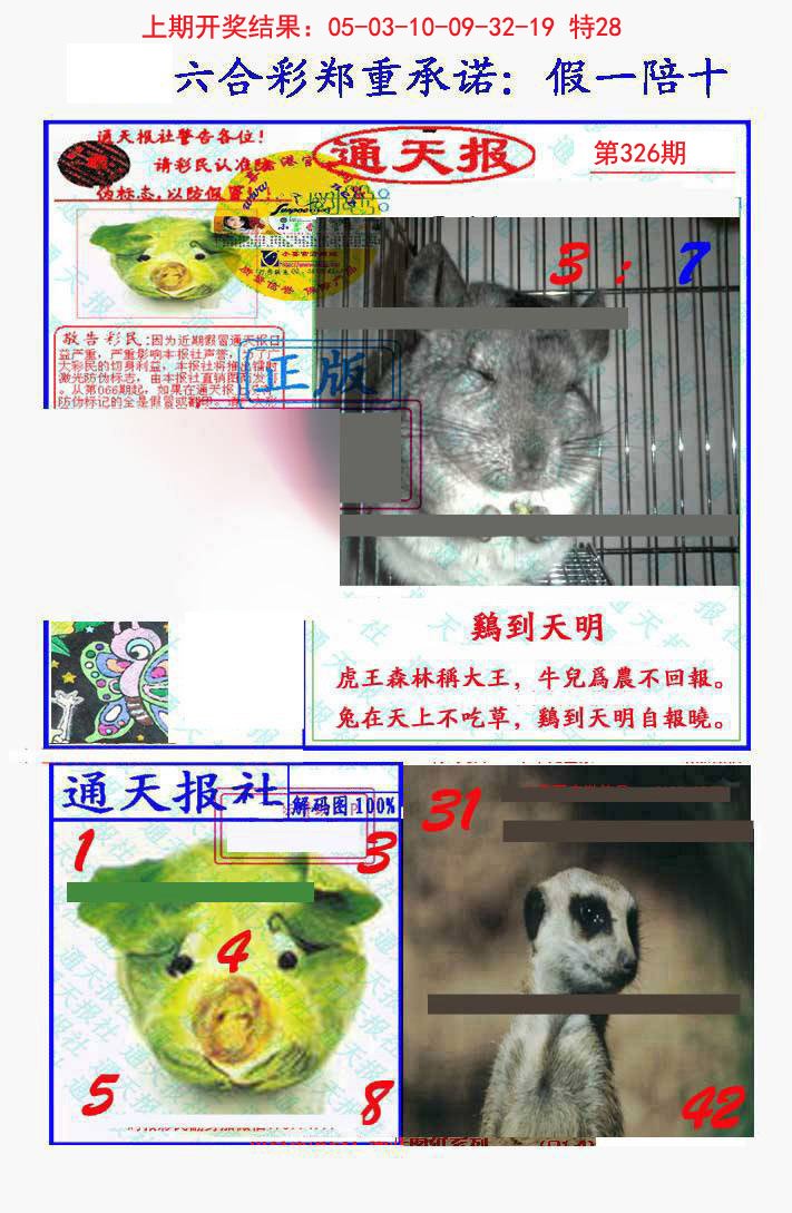 2024326期假一陪十通天报