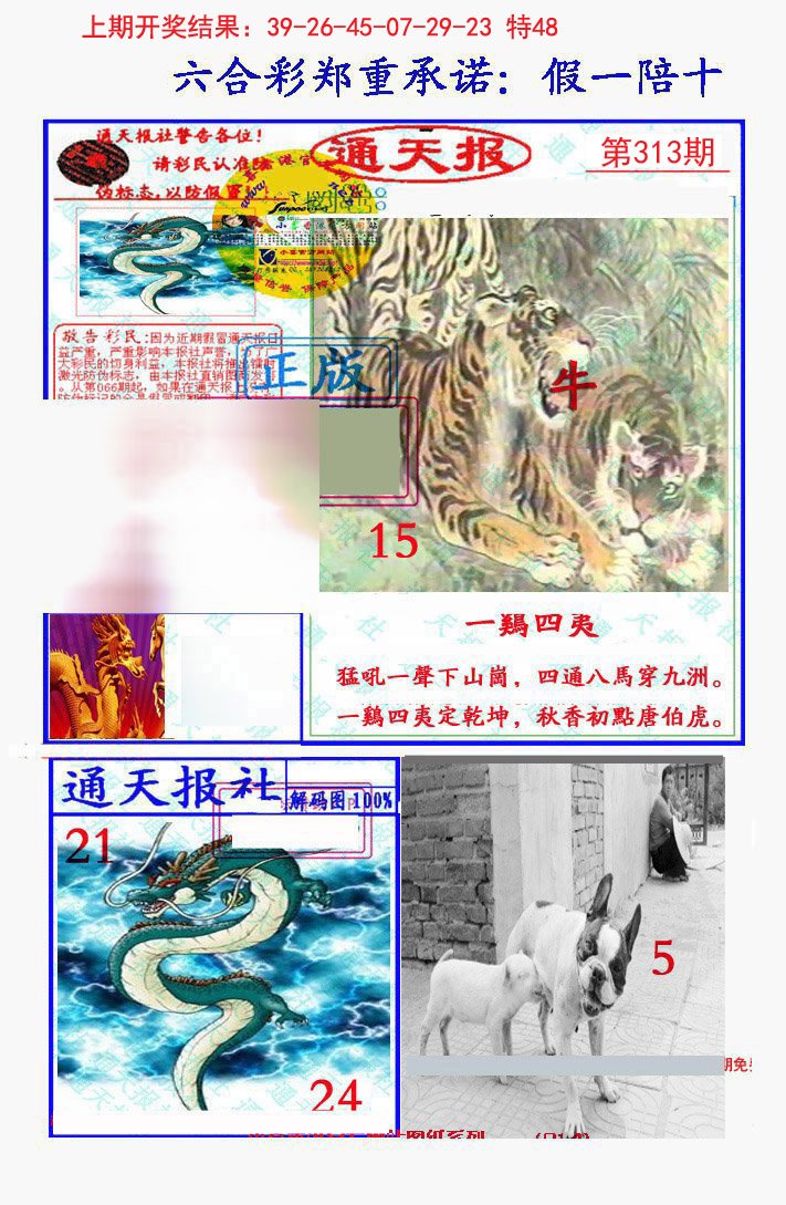 2024313期假一陪十通天报