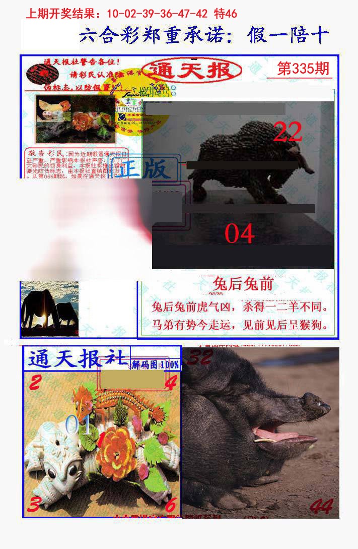2024335期假一陪十通天报