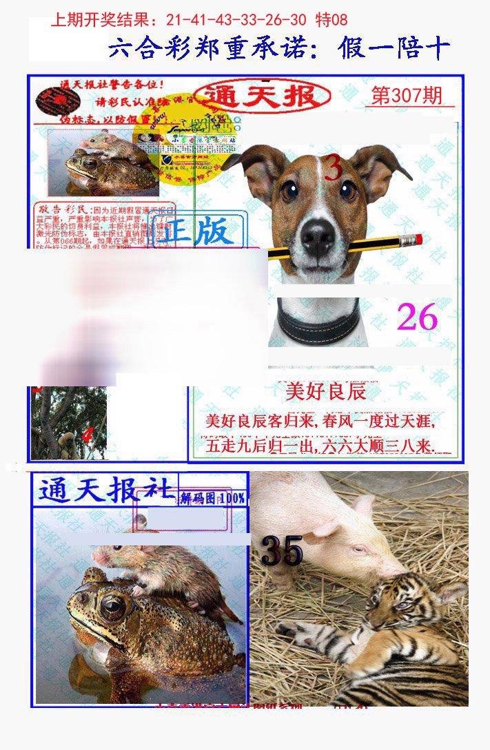 2024307期假一陪十通天报