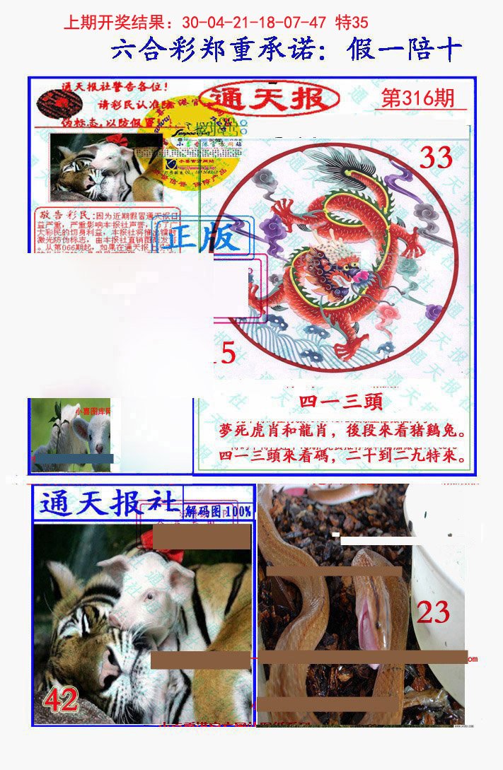 2024316期假一陪十通天报