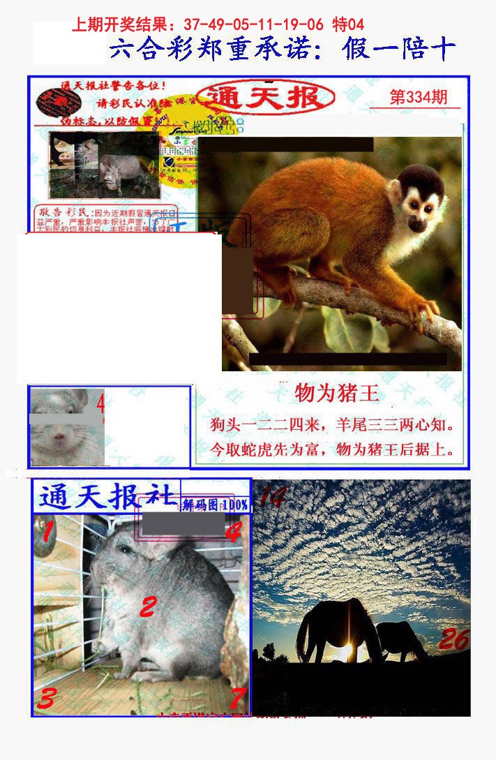 2024334期假一陪十通天报
