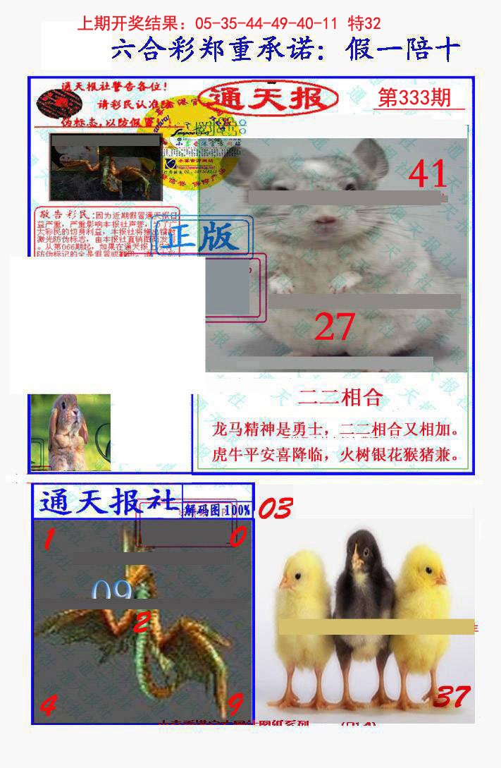 2024333期假一陪十通天报