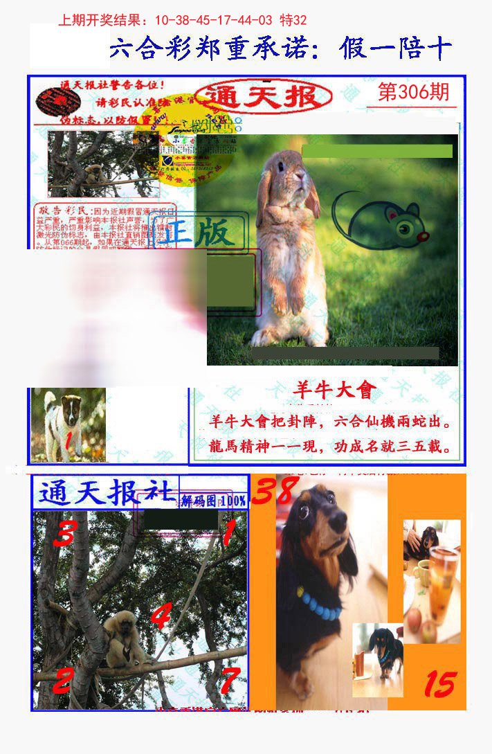 2024306期假一陪十通天报