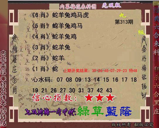 2024313期独家梅花来料