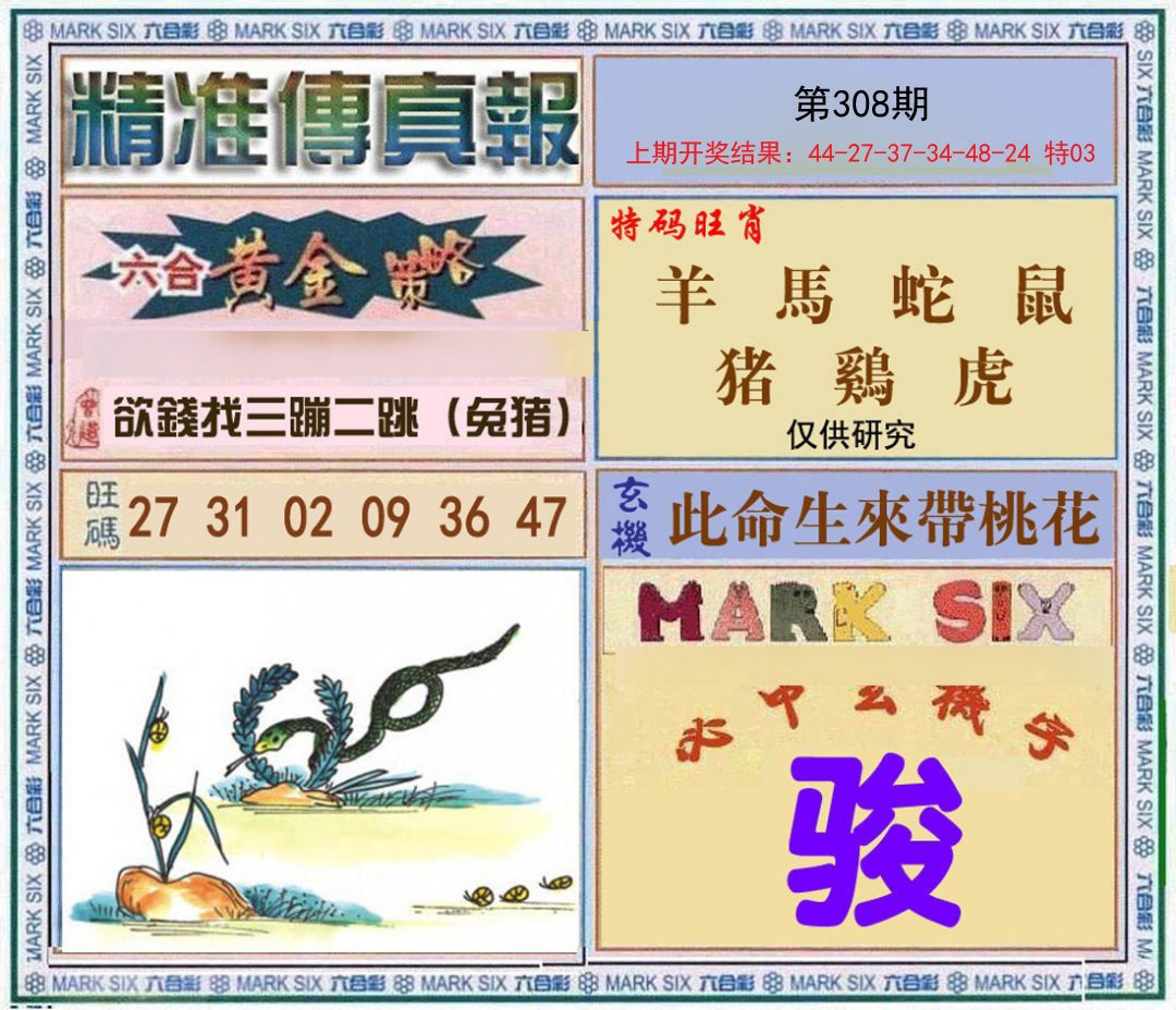 2024308期精准<傳真報>