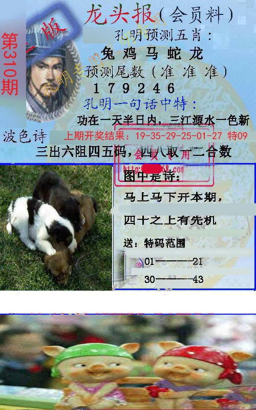 2024310期龙头报