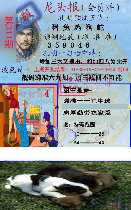 2024311期龙头报