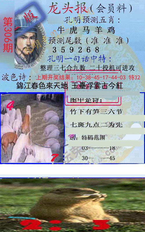 2024306期龙头报