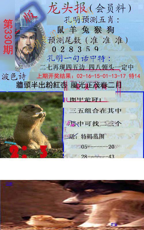 2024330期龙头报