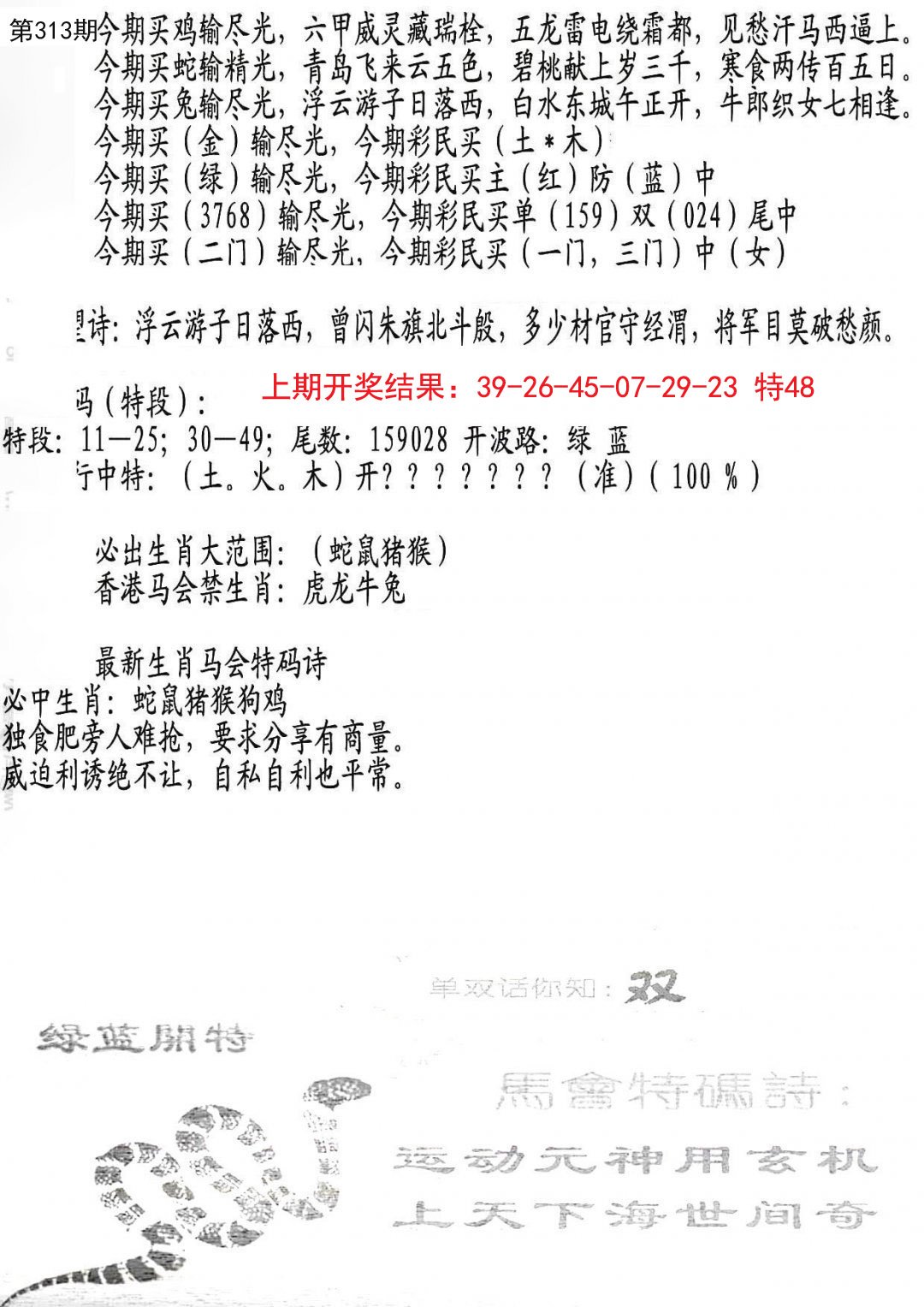 2024313期蛇报B