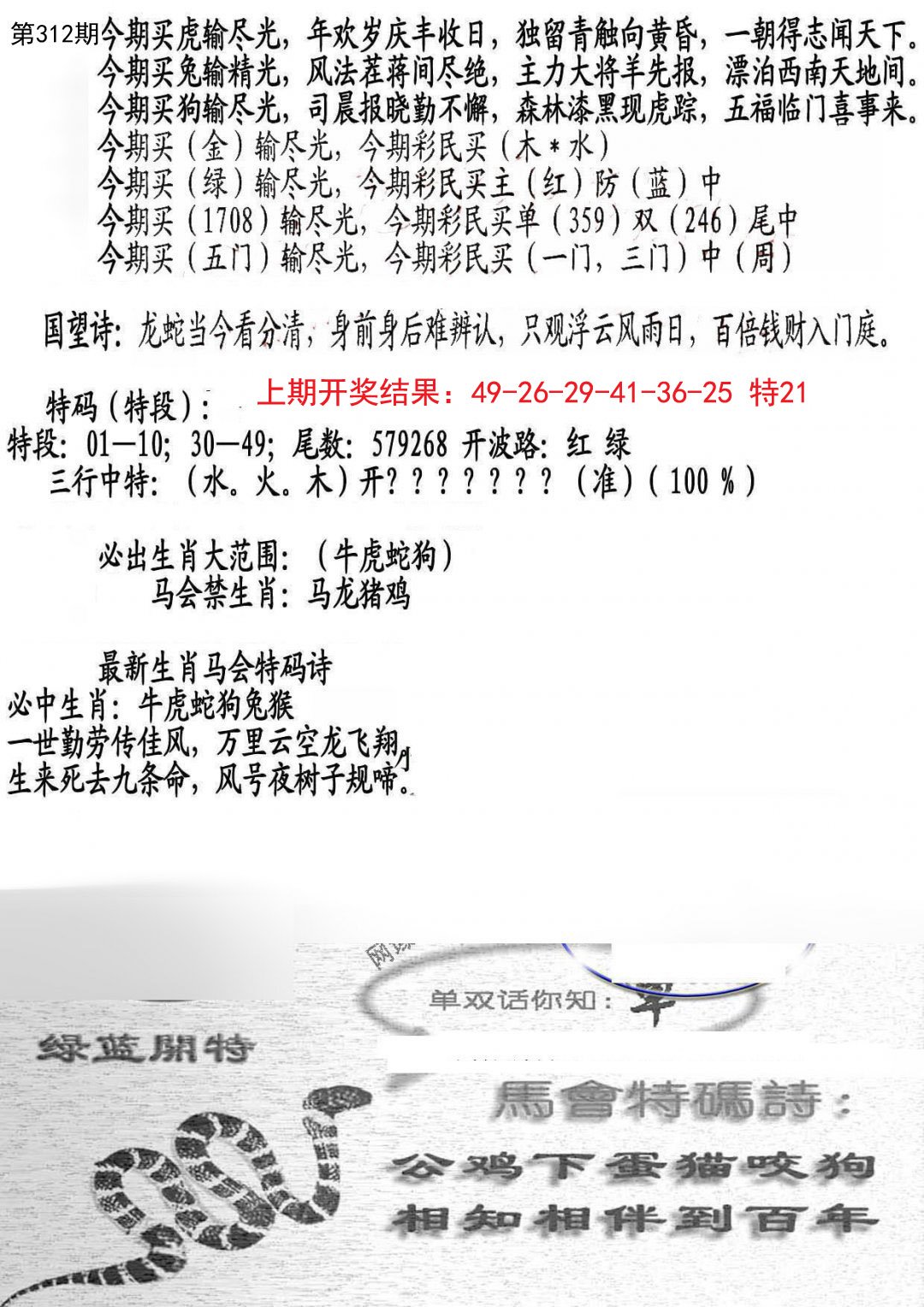 2024312期蛇报B