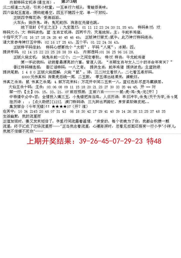 2024313期五星报B