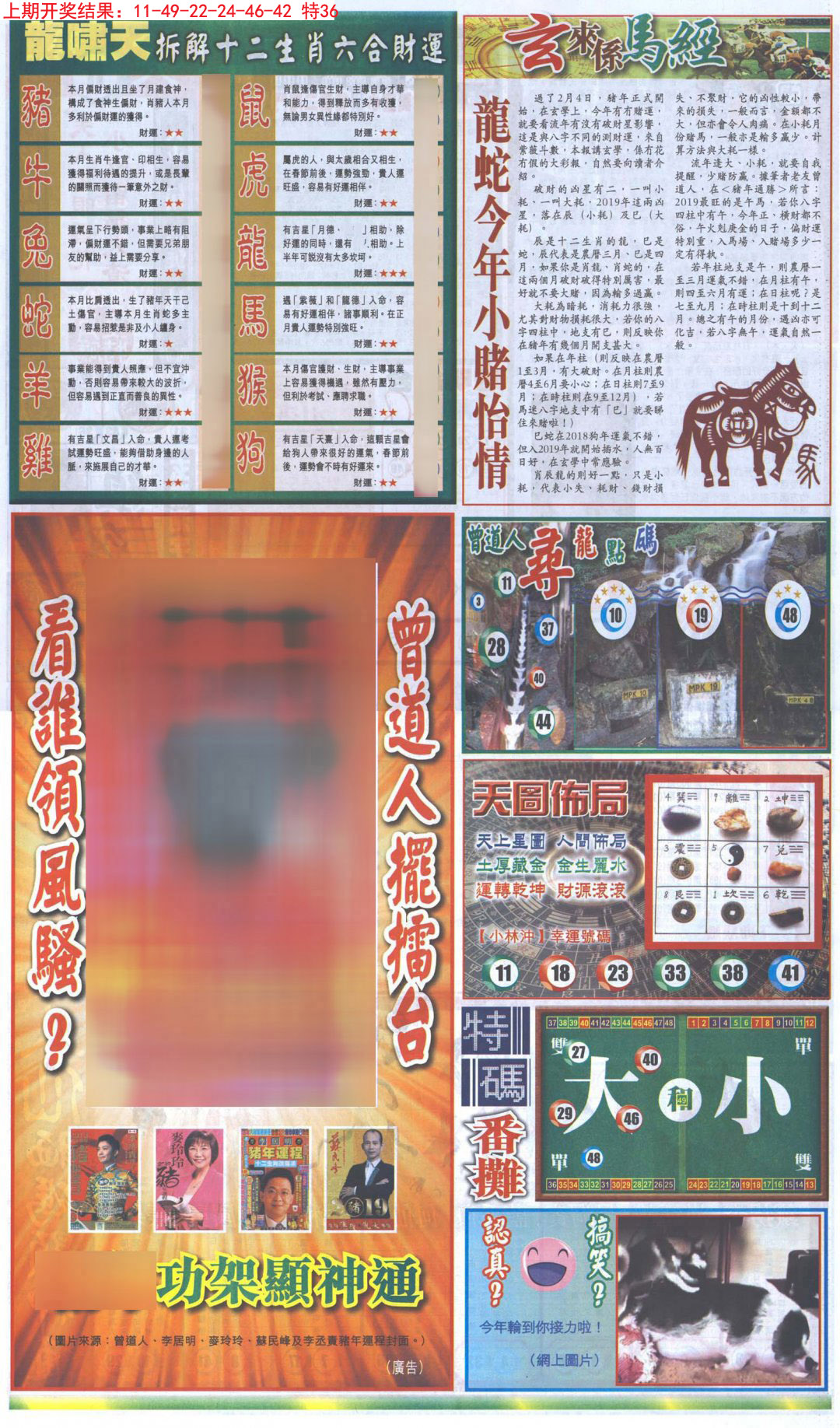 2024322期新报跑狗B