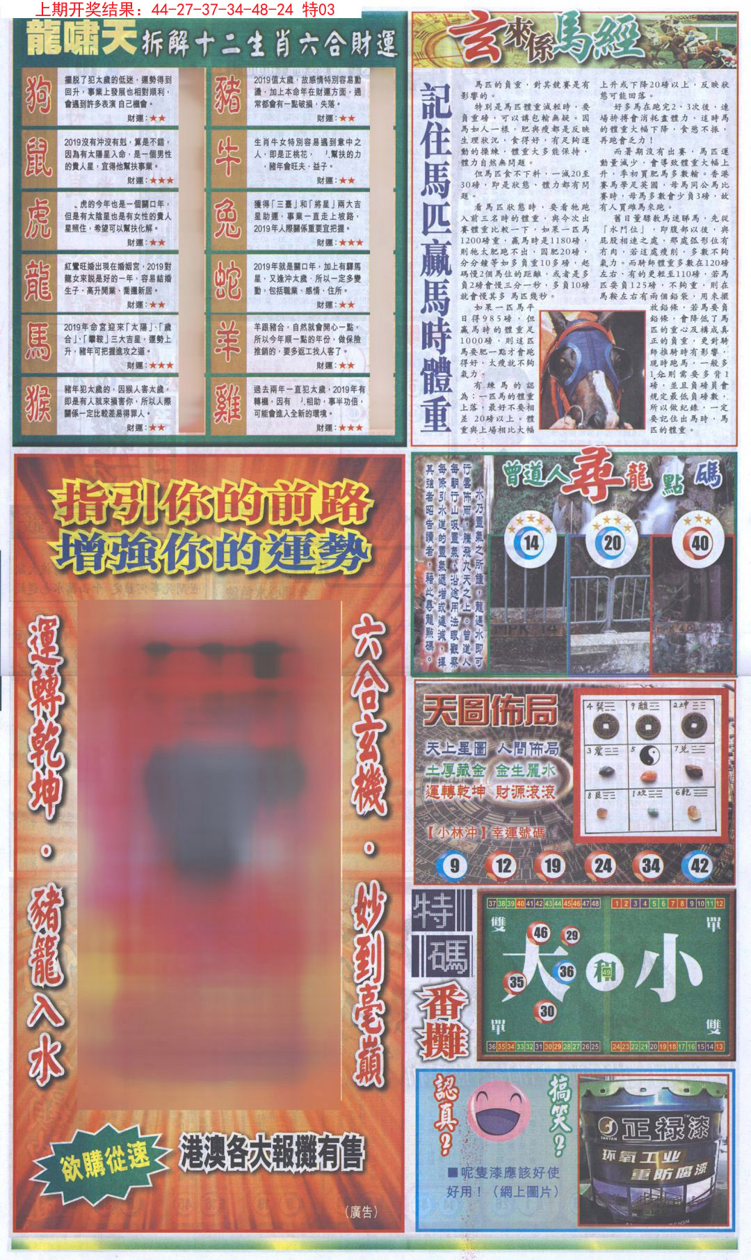 2024308期新报跑狗B