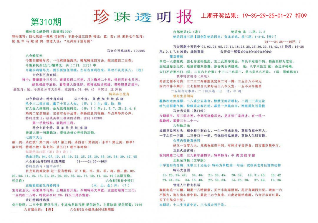 2024310期珍珠透明报