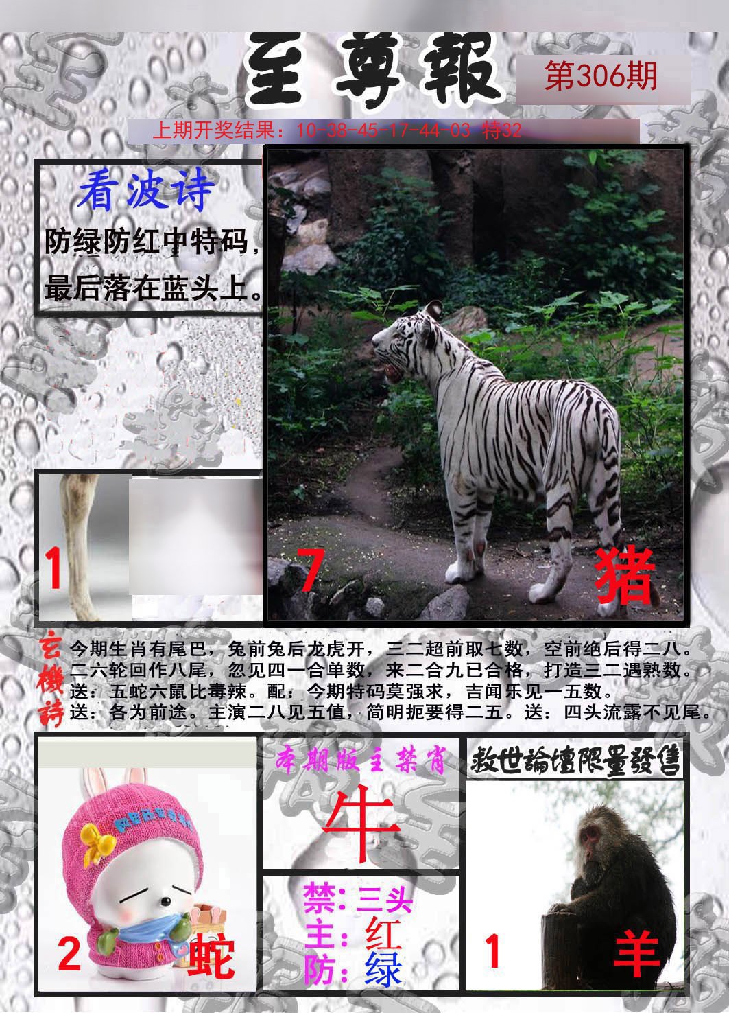 2024306期至尊报