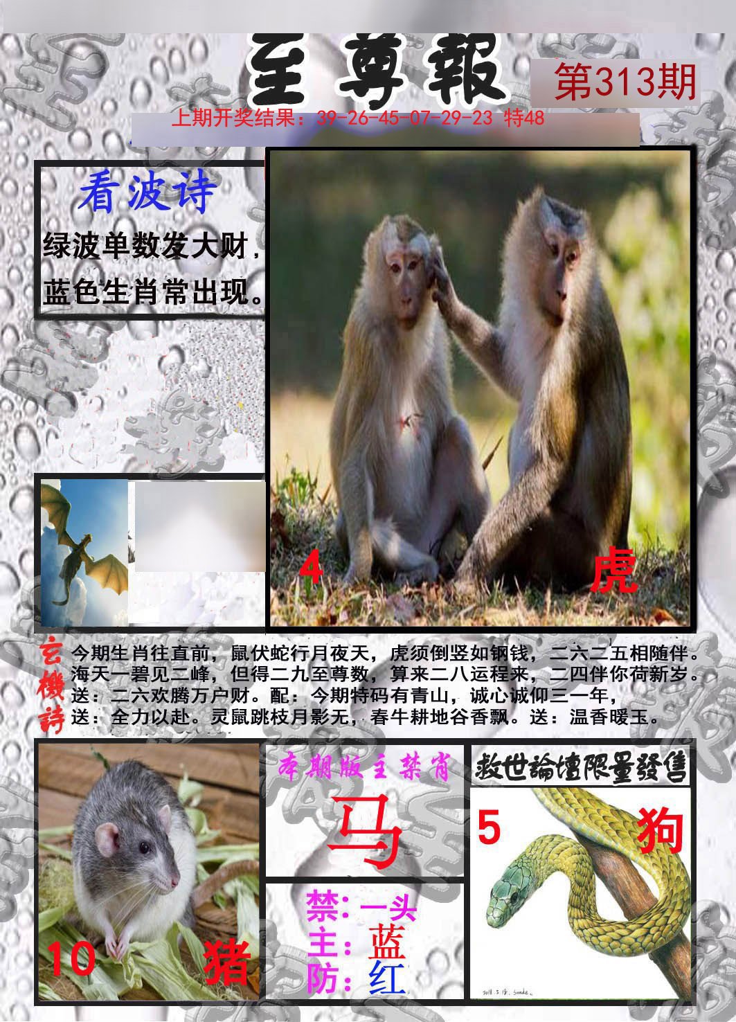 2024313期至尊报