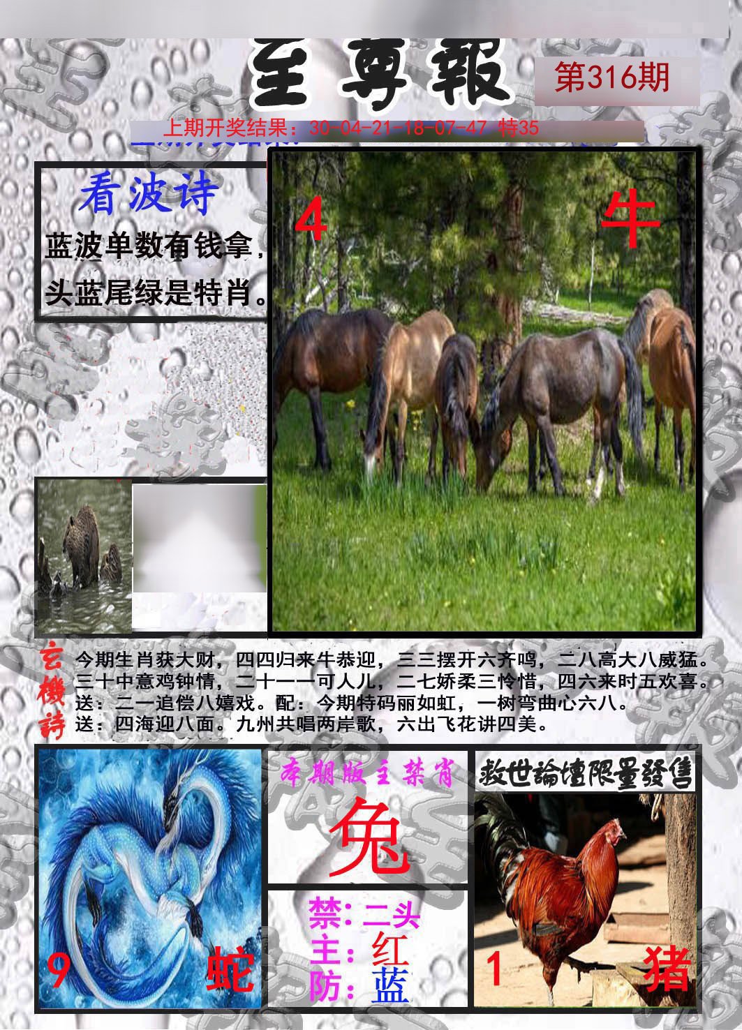 2024316期至尊报